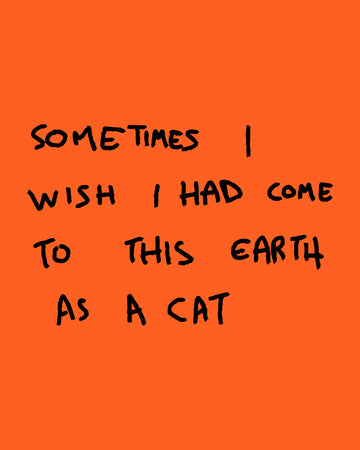 Cat - Poster